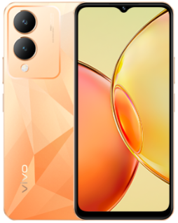 Vivo Y17S